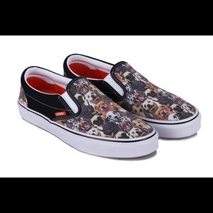 ISO ASPCA VANS SZ 6.5